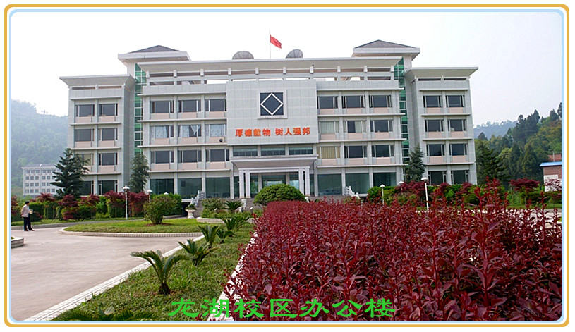 ����У�^(q��)�k����