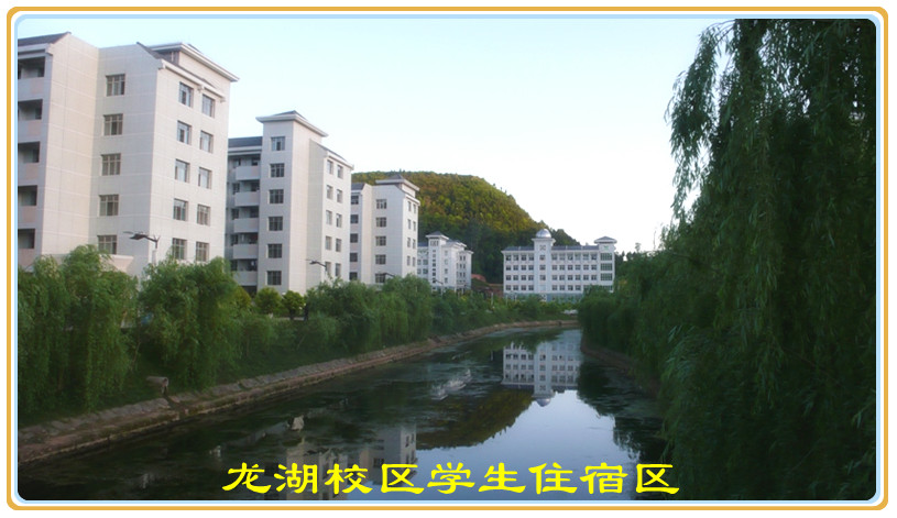 ����У�^(q��)�W(xu��)��ס�ޅ^(q��)